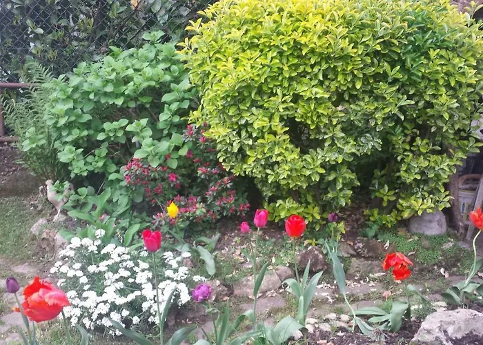 B&B il Patio Bergamo
